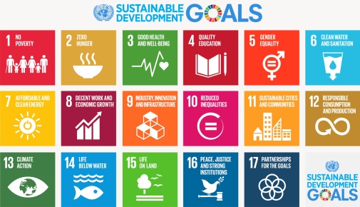 The UN sustainable development goals.